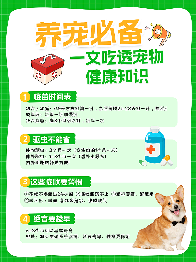 养宠必备健康知识科普现代风小红书配图