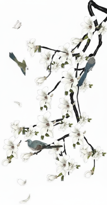 去水印，背景变为白色预览效果