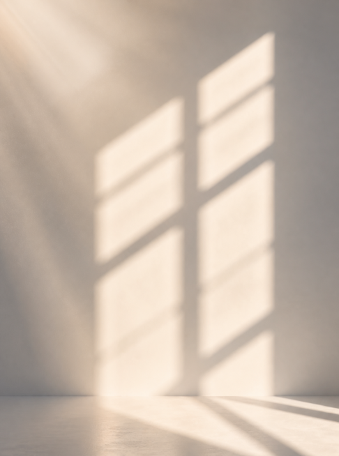 The warm grey light and transparent background, with the shadows of the blinds cast on the wall, giv预览效果
