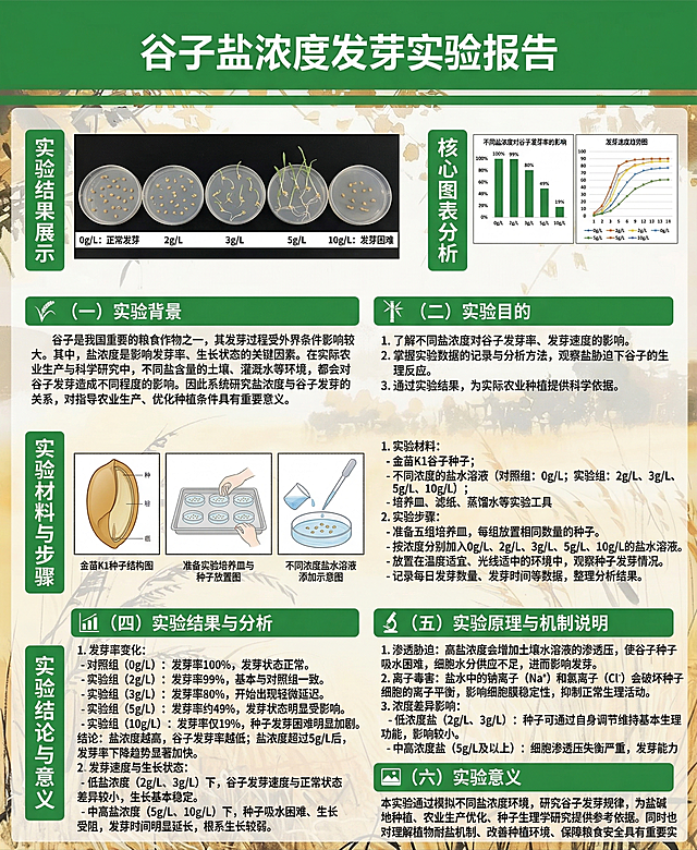 仿照参考的智能识别秧苗施肥器海报的排版样式，背景使用提供的水墨稻田图，海报标题为谷子盐浓度发芽实验报告，内容包含🌾 （一）实验背景 谷子是我国重要的粮食作物之一，其发芽过程受外界条件影响较大。其中，盐浓度是影响发芽率、生长状态的关键因素。在实际农业生产与科学研究中，不同盐含量的土壤、灌溉水等环境，都会对谷子发芽造成不同程度的影响。因此系统研究盐浓度与谷子发芽的关系，对指导农业生产、优化种植条件具有重要意义。🎋 （二）实验目的 1. 了解不同盐浓度对谷子发芽率、发芽速度的影响。2. 掌握实验数据的记录与分析方法，观察盐胁迫下谷子的生理反应。3. 通过实验结果，为实际农业种植提供科学依据。⚗️ （三）实验材料与方法 1. 实验材料 - 金苗K1谷子种子 - 不同浓度的盐水溶液（对照组：0g/L；实验组：2g/L、3g/L、5g/L、10g/L） - 培养皿、滤纸、蒸馏水等实验工具 2. 实验步骤 - 准备五组培养皿，每组放置相同数量的种子。 - 按浓度分别加入0g/L、2g/L、3g/L、5g/L、10g/L的盐水溶液。 - 放置在温度适宜、光线适中的环境中，观察种子发芽情况。 - 记录每日发芽数量、发芽时间等数据，整理分析结果。📊 （四）实验结果与分析 1. 发芽率变化 - 对照组（0g/L）：发芽率100%，发芽状态正常。 - 实验组（2g/L）：发芽率99%，基本与对照组一致。 - 实验组（3g/L）：发芽率80%，开始出现轻微延迟。 - 实验组（5g/L）：发芽率约49%，发芽状态明显受影响。 - 实验组（10g/L）：发芽率仅19%，种子发芽困难明显加剧。 结论：盐浓度越高，谷子发芽率越低；盐浓度超过5g/L后，发芽率下降趋势显著加快。 2. 发芽速度与生长状态 - 低盐浓度（2g/L、3g/L）下，谷子发芽速度与正常状态差异较小，生长基本稳定。 - 中高盐浓度（5g/L、10g/L）下，种子吸水困难、生长受阻，发芽时间明显延长，根系生长较弱。🔬 （五）实验原理与机制说明（现代汉语版） 1. 渗透胁迫 高盐浓度会增加土壤或水溶液的渗透压，使谷子种子吸水困难，细胞水分供应不足，进而影响发芽。 2. 离子毒害 盐水中的钠离子（Na⁺）和氯离子（Cl⁻）会破坏种子细胞的离子平衡，影响细胞膜稳定性，抑制正常生理活动。 3. 浓度差异影响 - 低浓度盐（2g/L、3g/L）：种子可通过自身调节维持基本生理功能，影响较小。 - 中高浓度盐（5g/L及以上）：细胞渗透压失衡严重，发芽能力大幅下降。🏞️ （六）实验意义 本实验通过模拟不同盐浓度环境，研究谷子发芽规律，为盐碱地种植、农业生产优化、种子生理学研究提供参考依据。同时也对理解植物耐盐机制、改善种植环境、保障粮食安全具有重要现实意义。标题醒目，左侧有分栏导航模块，文字排版清晰易读，整体风格和参考海报一致，背景适当做半透明处理保证文字清晰