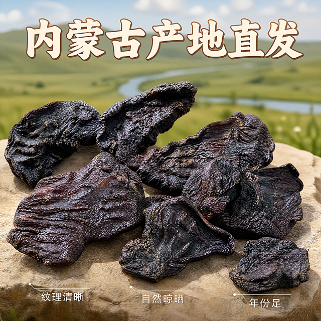 [主图-2] 肉苁蓉产地溯源核心亮点展示。氛围风格：真实产地信任背书，自然原生态感。画质：商业摄影质感、光线柔和通透、产品清晰真实、画面干净高级。元素：主体肉苁蓉残片放置在前景，背景虚化融入内蒙古草原产地风光，保留产品外观（物理结构、材质质感、颜色）与输入产品图绝对一致，杜绝任何变形和色差，精细化处理。商品主体占比约65%，画面满屏无边框。光影：自然户外暖光，通透自然，突出产品纹理和产地氛围。配色：深棕产品主体搭配浅绿草原底色，自然清新。视角构图：平视前景主体虚化背景，突出产品同时展示产地环境。文字版式：顶部居中大字文案写"内蒙古产地直发"，米白色粗体搭配浅棕色描边，清晰自然。产品下方用极细引线标注三个核心亮点，文字对应：纹理清晰 自然晾晒 年份足，排列整齐不遮挡产品。比例分辨率：1:1比例，4k分辨率，文字清晰锐利，画面超高清。负向提示词：变形，水印，文字错乱，产品图模糊，背景杂乱，夸大功效表述，医疗宣传内容。