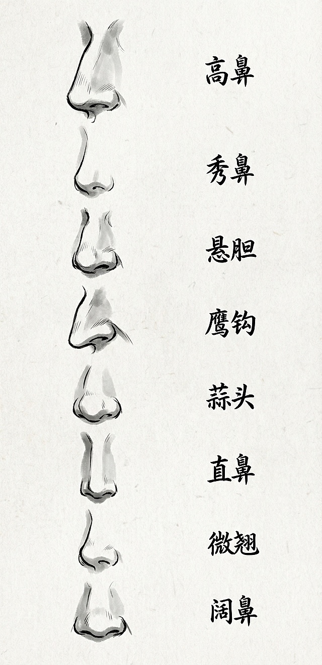 和参考图画风一致的古风鼻子训练图，多组不同形态的古风鼻子