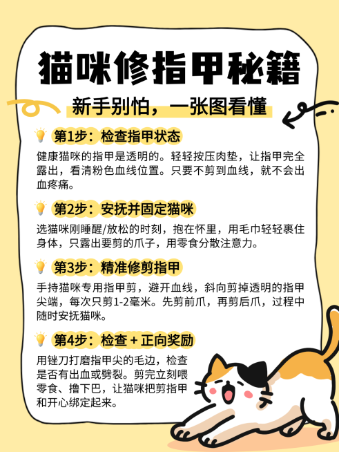 卡通插画风猫咪修指甲秘籍知识分享小红书配图预览效果