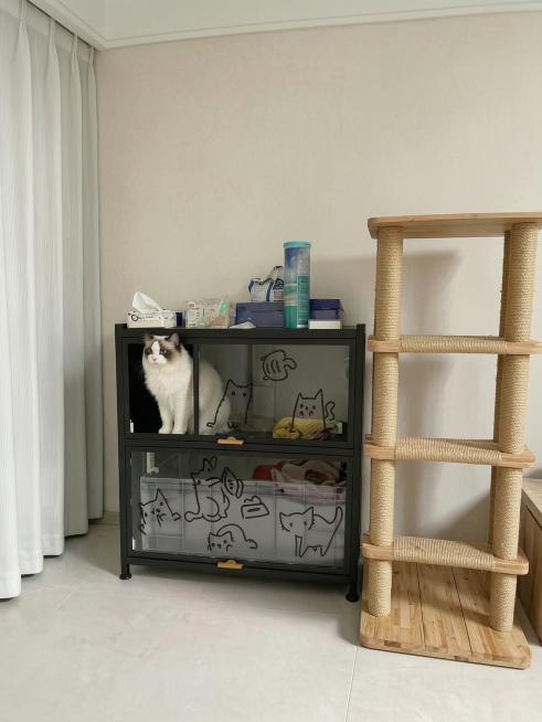 生成有真实家居感的买家秀，房间不要有多余装饰，猫砂柜放在这个房间角落，柜顶上保留原来的猫粮不改变，在柜子旁边增加一个猫爬架，布偶猫依然在猫砂柜的上层，真实摄影，自然光，ins风家居预览效果
