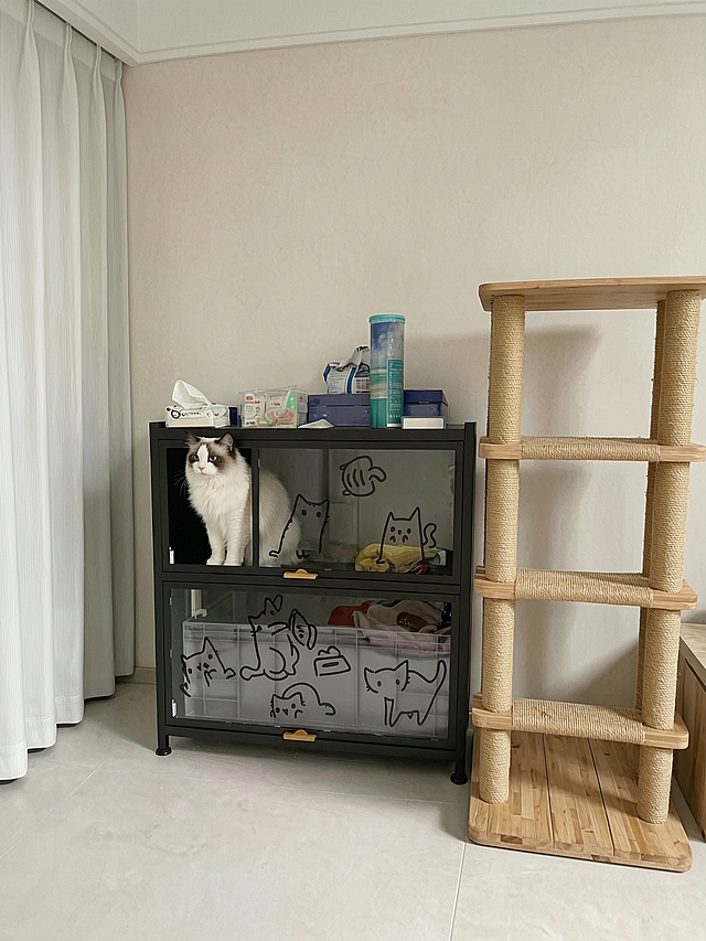 生成有真实家居感的买家秀，房间不要有多余装饰，猫砂柜放在这个房间角落，柜顶上保留原来的猫粮不改变，在柜子旁边增加一个猫爬架，布偶猫依然在猫砂柜的上层，真实摄影，自然光，ins风家居