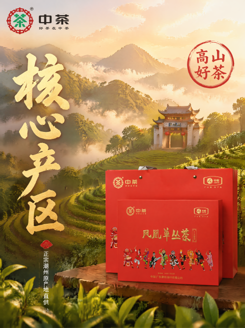 [主图-2] 中茶凤凰单丛茶核心产地溯源国潮主图。保持产品外观（物理结构、材质质感、颜色）与输入产品图绝对一致，杜绝任何变形和色差。更换背景为潮州凤凰山茶园实景国潮插画风格，远山云雾搭配茶园茶田，凸显预览效果