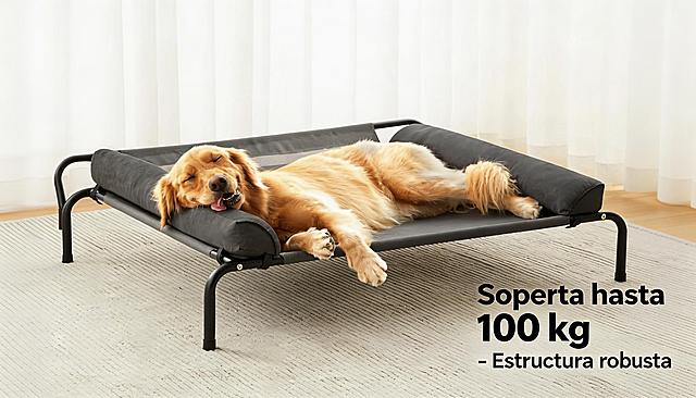 以图中的大型犬专用狗床为主体，展示狗床的黑色金属支架结构，添加西班牙语文案 "Soporta hasta 100 kg - Estructura robusta"，用加粗字体突出承重数值，16:9比例