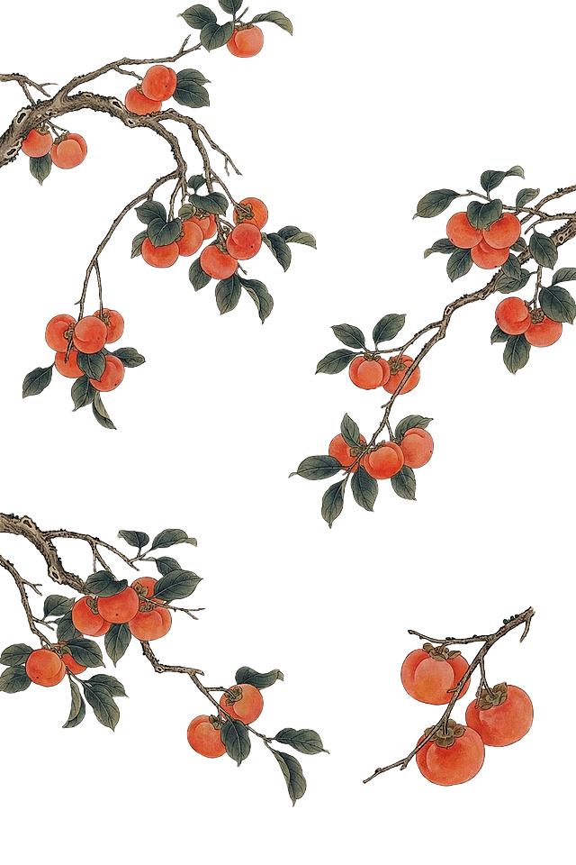 生成多张中国工笔画风格的柿子枝头图，和参考图保持一样的画风，写实细腻的工笔画，橙红色圆润的柿子挂在树枝上，搭配墨绿色叶片，透明白底背景，传统国画工笔花卉果实风格