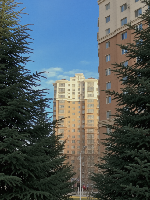 预览效果