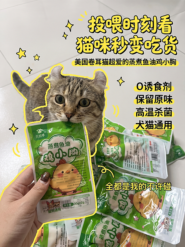小红书封面图，贝拉哆蒸煮鱼油鸡小胸宠物零食，参考图为真实宠物合影手绘描边风格，展示产品包装和美国卷耳猫猫咪合影，黄色描边装饰，手写风格卖点文字，主标题“投喂时刻看 猫咪秒变吃货”，副标题“美国卷耳猫超爱的蒸煮鱼油鸡小胸”，卖点文字“0诱食剂 保留原味 高温杀菌 犬猫通用”，真实居家场景，活泼有趣风格，适合小红书竖版封面