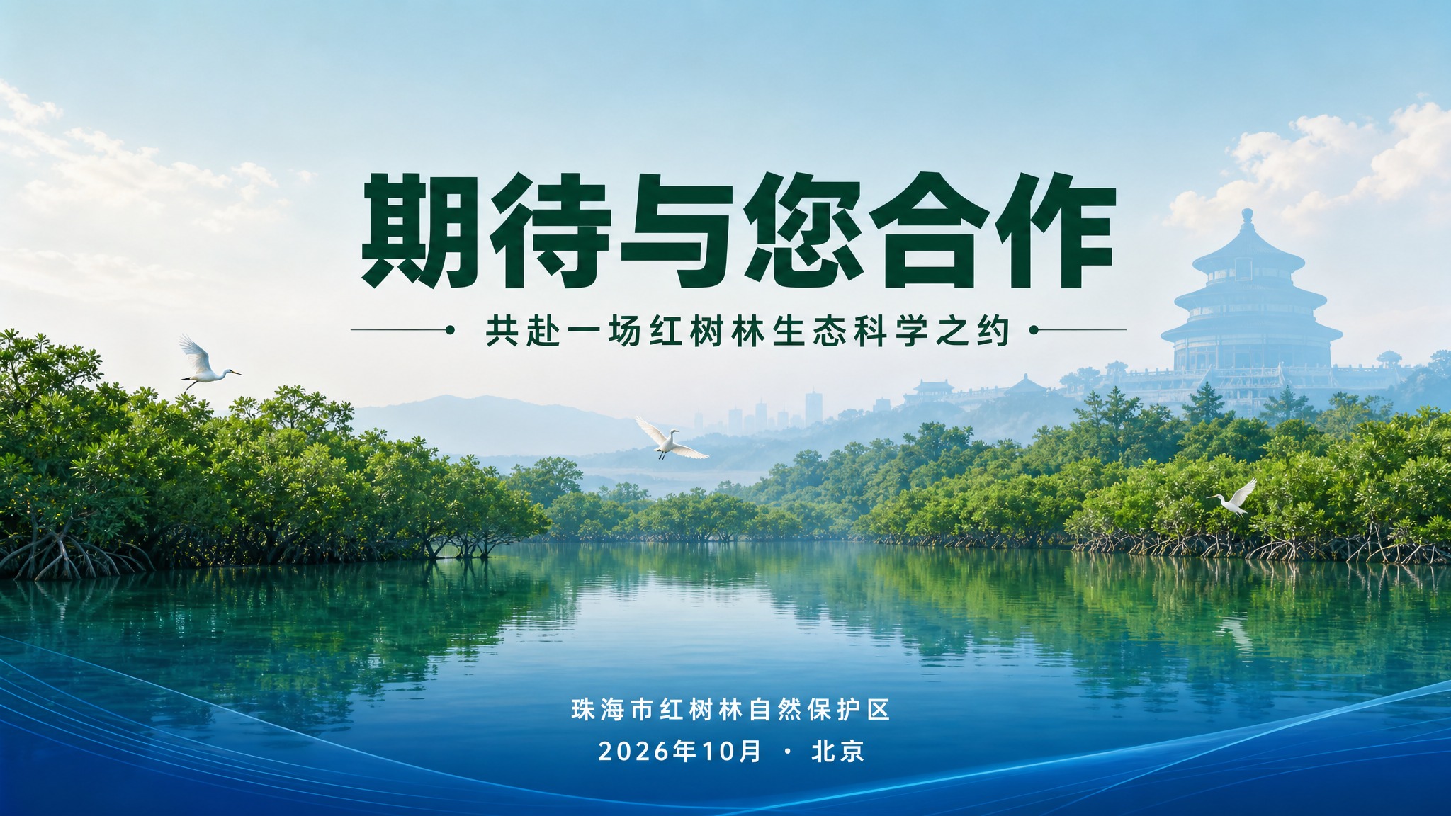 PPT封底页设计，16:9横版，红树林湿地主题，深绿色和海洋蓝… - 图片创意预览