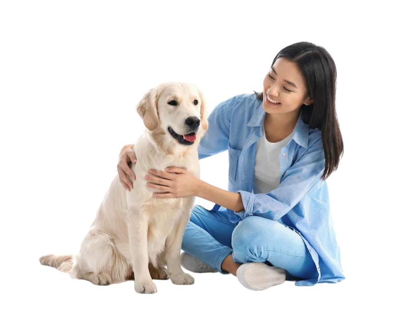 将图中人物换成中国人的面孔预览效果