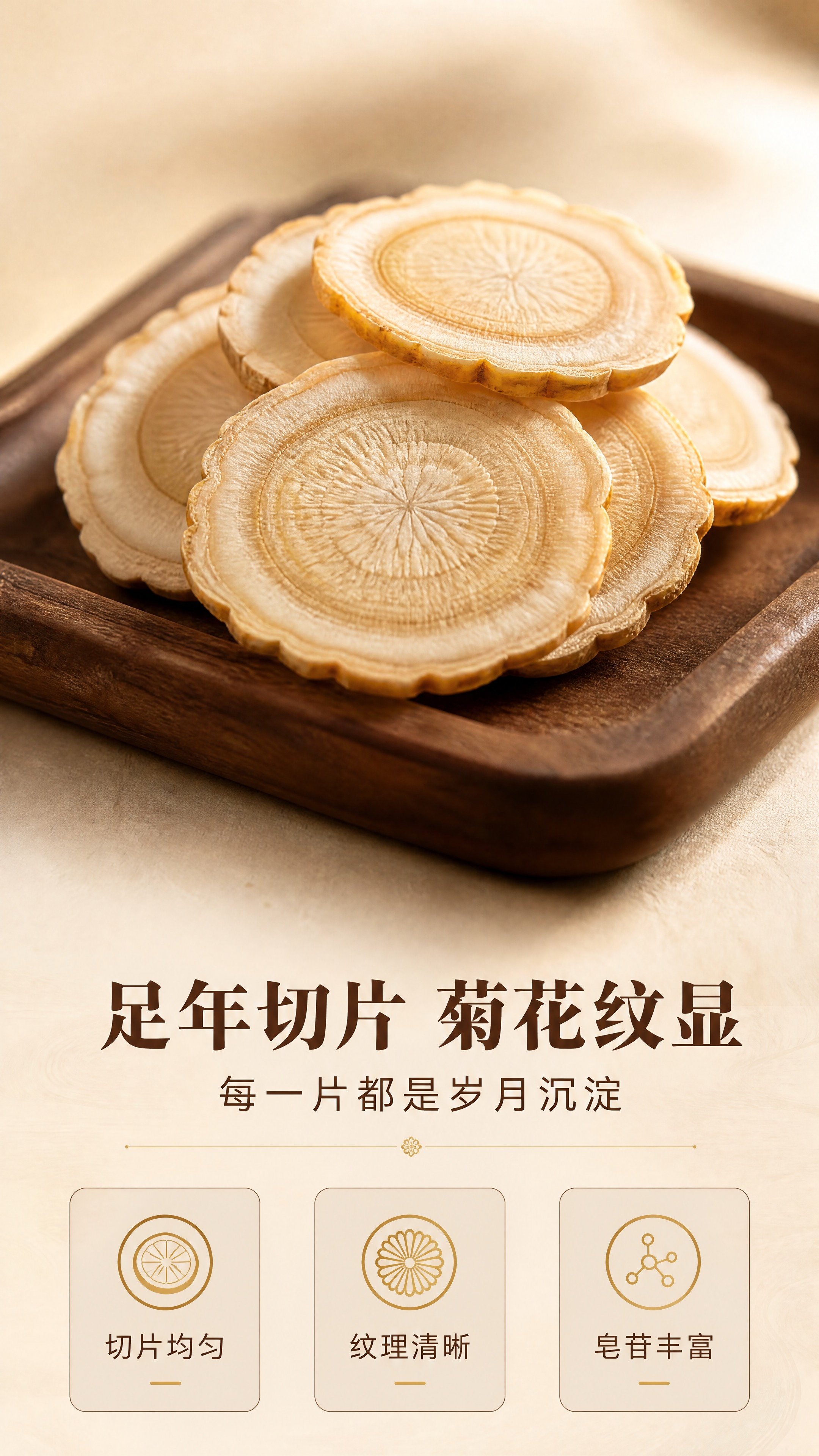 [商品] 使用【图1】中的参片元素；保留参片的圆形切片形态、土… - 图片创意预览
