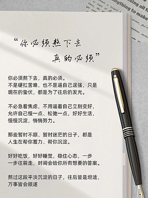书籍语录排版小红书文案封面