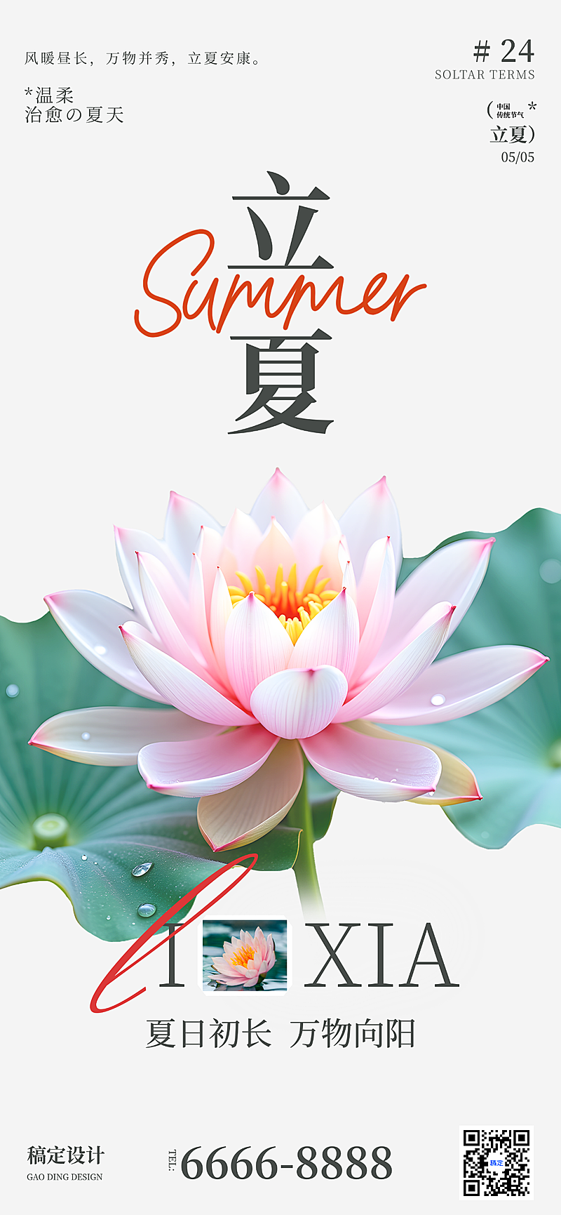 立夏节气祝福问候插画全屏竖版海报