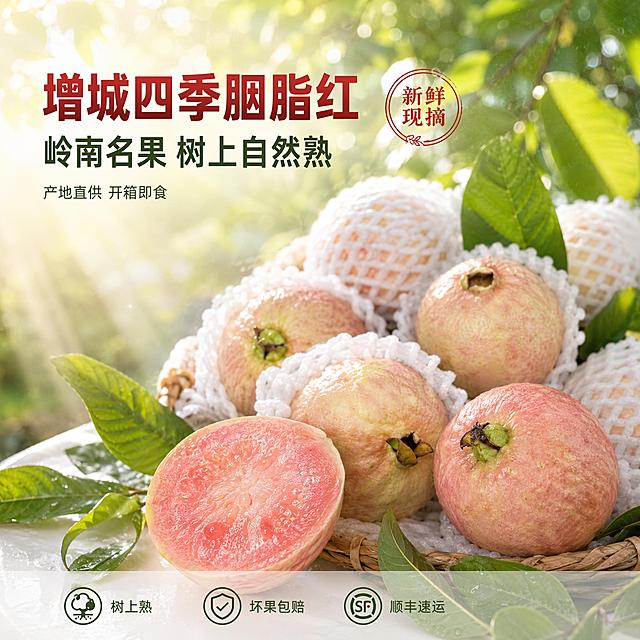 [单张主图] 增城四季胭脂红番石榴 高级氛围感生鲜主图 抖音1:1 突出新鲜采摘产地直供
[画面主体] 胭脂红番石榴果实为视觉主体，保留输入图中粉黄渐变的果皮色泽、带果蒂的形态、白色网套包裹的真实质感；前景2-3颗番石榴脱去网套，表皮粉嫩带自然斑点，果蒂翠绿新鲜，其中一颗切开露出绵密粉白果肉，果肉纹理清晰可见，汁水充盈有食欲；背景处保留带白色网套的完整果实错落摆放，形成前后层次。保持番石榴外观（颜色、纹理、果蒂形态、网套质感）与输入产品图绝对一致，杜绝变形和色差，精细化处理果皮肌理与果肉质感。商品主体占画面约65%。
[构图版式] 左文右物场景型高级氛围感版式。左侧约35%区域为自然留白放置文案，右侧约65%为产品主体与场景；产品错落堆叠于右下区域，前景果实饱满突出，背景虚化延伸；底部极轻微半透明蒙层放置服务卖点图标，不抢主体。
[场景元素] 背景为岭南果园自然场景，虚化的番石榴树叶、阳光透过叶缝形成斑驳光影；前景散落几片翠绿的番石榴嫩叶与几根青草；果实下方是浅木色果篮边缘承托，果篮内铺着白色网套；空气中有轻微的水雾与阳光丁达尔效应，营造清晨果园刚采摘的新鲜氛围；整体场景自然真实，无多余杂物。
[文案版式] 左上负空间左对齐，留安全边距。主标题两行：第一行大字粗体「增城四季胭脂红」，第二行稍小「岭南名果 树上自然熟」；主标题下方一行细体辅助文案「产地直供 开箱即食」；主标题右侧配一个圆形小印章，内文「新鲜现摘」，胭脂红色描边与字。底部极轻半透明蒙层横向排列3个线稿图标+短句：左「树上熟」、中「坏果包赔」、右「顺丰速运」，图标与文字均为深绿色，字号小而精致。
[光影质感] 自然暖阳逆光为主光，从右上45度斜射，在果皮上形成柔和高光与通透感；左侧柔光补光，暗部有层次不发黑；果实底部有自然接触阴影，果篮与叶片投影真实；整体光线柔和温暖，清晨果园氛围感，景深中等，背景虚化突出主体。
[配色字体] 主色调：胭脂粉（取自果皮）+ 翠绿（取自果蒂叶片）+ 米白（网套与背景柔光）；强调色：深胭脂红用于印章与主标题重点字。字体：主标题用粗黑体厚重有力，辅助文案用细无衬线体轻盈通透，整体字重对比明显，留白充足。
[比例分辨率] 1:1正方形比例，2K超高清，文字清晰锐利可辨，商业生鲜摄影质感。
[负向提示词] 变形，文字错乱，产品模糊，背景杂乱，水印，电商平台Logo，描边过重，廉价感，假水果，塑料质感，文字遮挡果实主体
