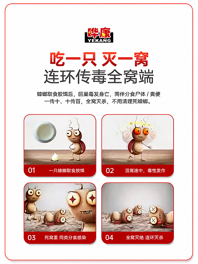 将这张连环传毒全窝端四步图调整为3:4竖版比例1440x1920。保持所有内容不变：顶部晔康品牌Logo、大标题「吃一只 灭一窝」、副标题「连环传毒全窝端」、说明文字、四个步骤卡通图（01取食胶饵、02毒性发作、03同类分食感染、04全窝灭绝）、白色背景红色边框。整体上下延展，增加顶部和底部的空间，内容居中布局，保持风格和质感不变。