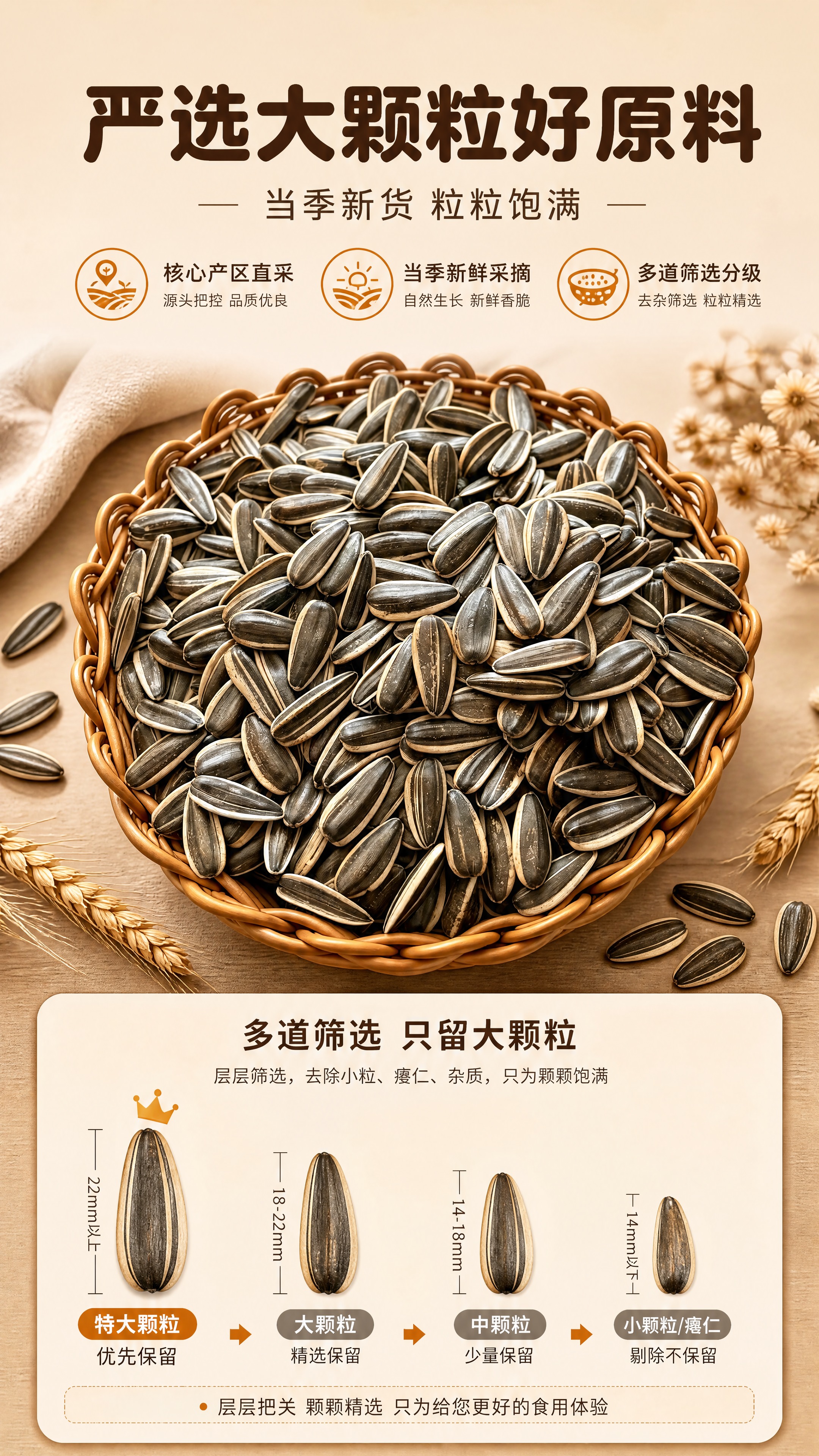 [商品] 使用【图1】原味葵花籽；保留瓜子黑底白边条纹外壳、长… - 图片创意预览