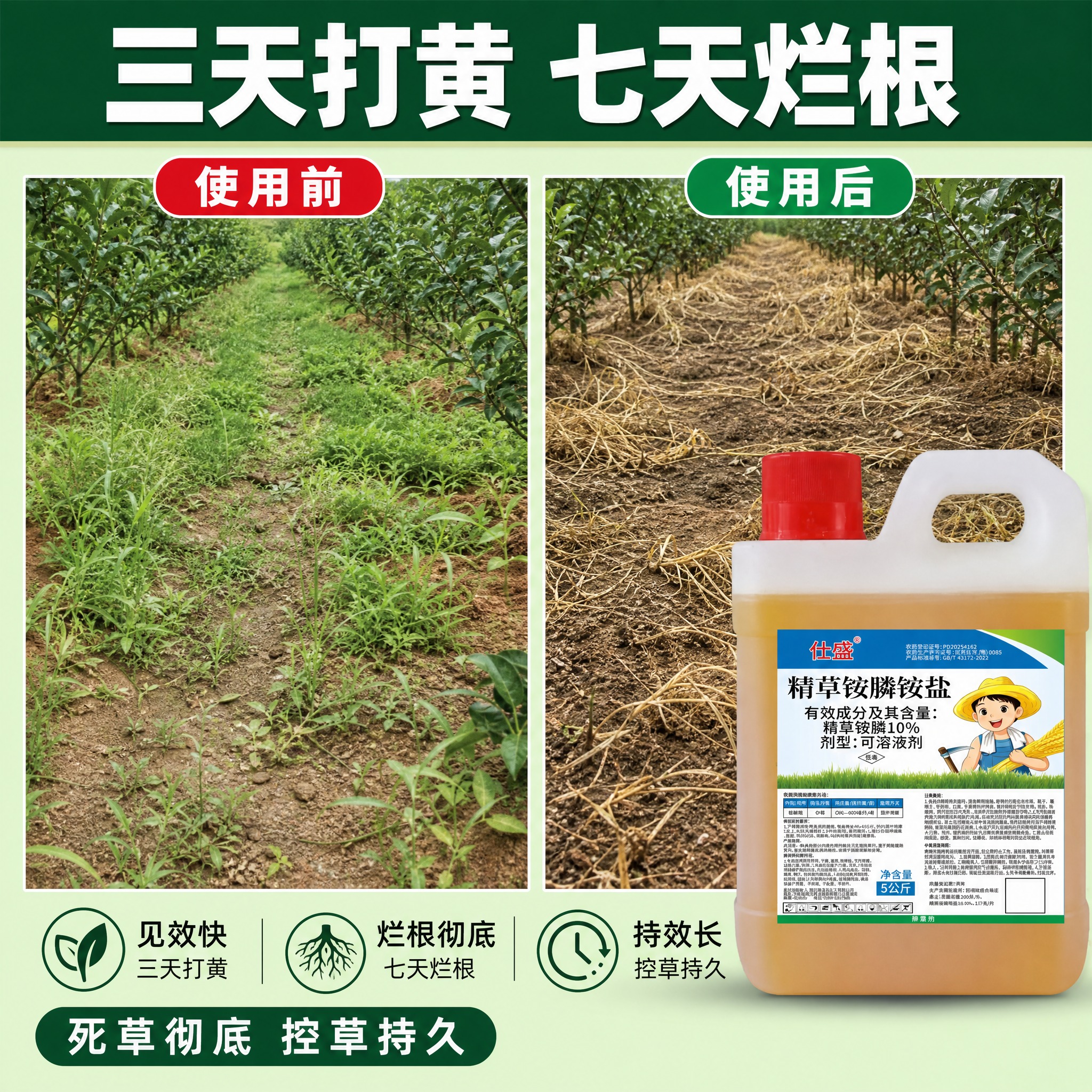[主图-2] 核心效果证明，展示精草铵膦铵盐除草见效快、烂根彻… - 图片创意预览