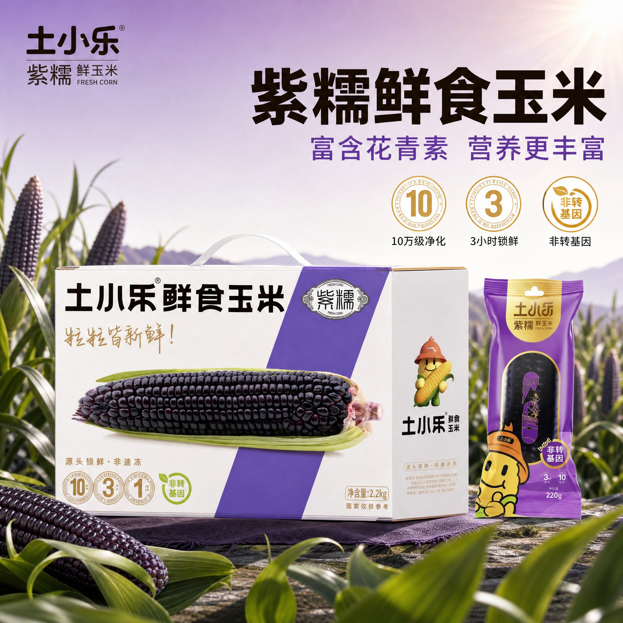 [主图-3] 土小乐紫糯鲜食玉米礼盒装主图，核心任务：展示紫糯… - 图片创意预览