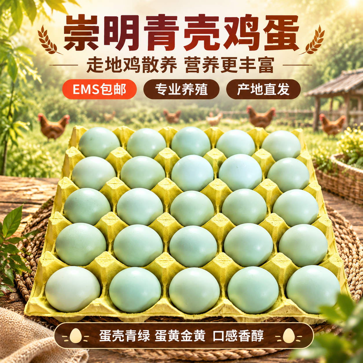 [主图-青壳1] 崇明青壳鸡蛋首图，突出产品主体与核心卖点，吸… - 图片创意预览