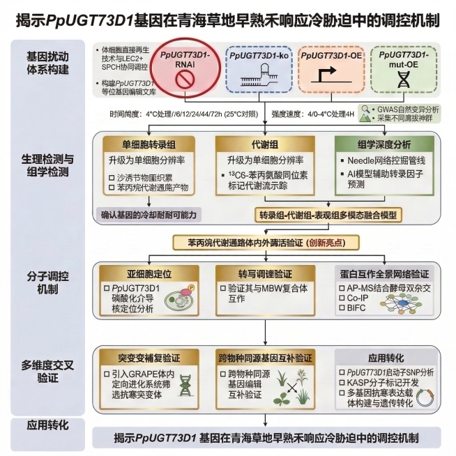 删除图中创新点一、二、三、四、五所有模块括号内的文字，其余内容、布局和风格完全保留预览效果