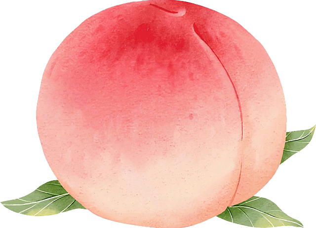 移除后方多余的桃子，只保留前景带叶子的水蜜桃，保持水彩手绘风格不变，保持画质清晰细节完整，背景为纯白色