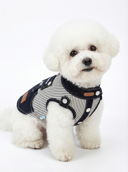 把这件衣服穿在比熊身上 用于淘宝上架图片 需要五张不同姿势的图片预览效果