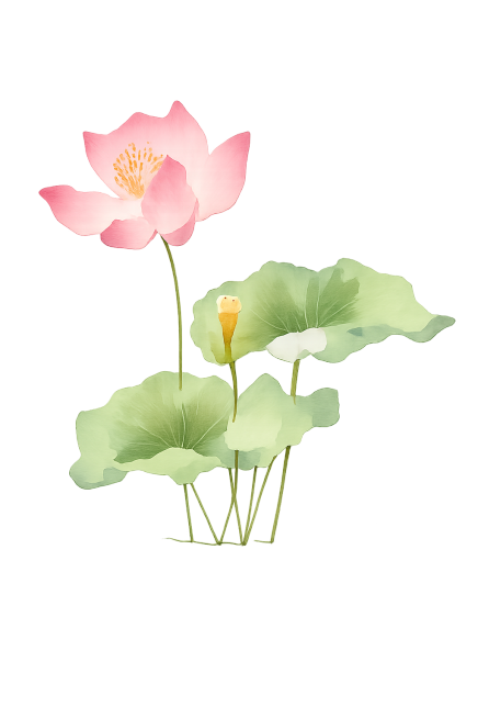 参考原图水彩风格，重新生成这组荷花荷叶的画面，保持粉色荷花和绿色荷叶的水彩晕染效果，透明背景，构图和元素位置和原图一致预览效果
