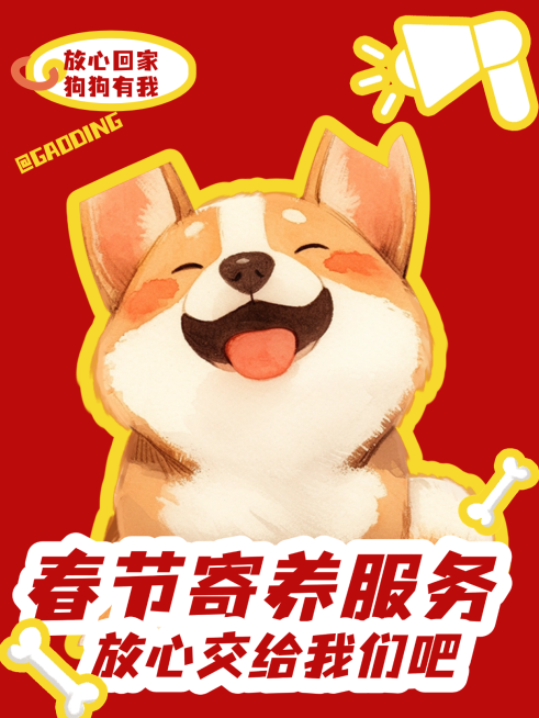 春节宣传推广宠物服务喜庆感小红书封面预览效果