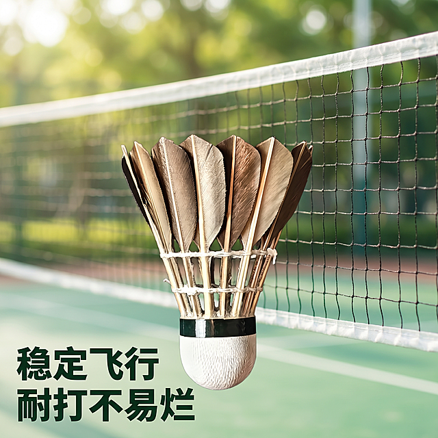 [主图 4] 球欣Y-01羽毛球运动场景展示。[氛围风格] 真实运动风，户外球场场景。[画质] 商业摄影质感、光线柔和通透、产品清晰真实、画面干净高级。保持羽毛球外观、材质、颜色与输入产品图绝对一致，杜绝任何变形和色差，精细化处理。将羽毛球放置在标准羽毛球网前，背景是模糊的绿色室外球场，自然景深突出产品，商品主体羽毛球占画面约60%，场景自然不抢产品风头。[光影] 自然光户外光线，明亮通透，自然立体感。[配色] 绿色自然运动色调，产品深色与绿色背景对比清晰，文字使用深绿色加粗。[视角构图] 平视，主体羽毛球居中，背景虚化场景化，构图简洁重点突出。[文字版式] 左下负空间“稳定飞行 耐打不易烂”，大号加粗字体清晰易读，不遮挡主体。[比例分辨率] 1:1 比例，2k分辨率，文字清晰可辨，超高清。[负向提示词] 变形，水印，文字错乱，产品模糊，背景杂乱，人物抢主体，过度场景化