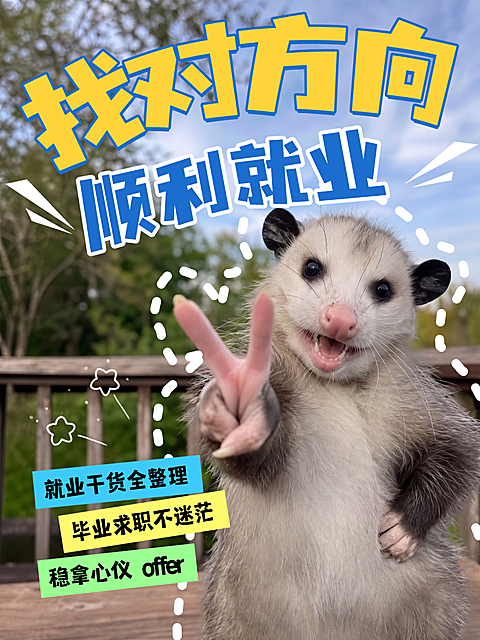 就业指南小红书封面热梗表情包