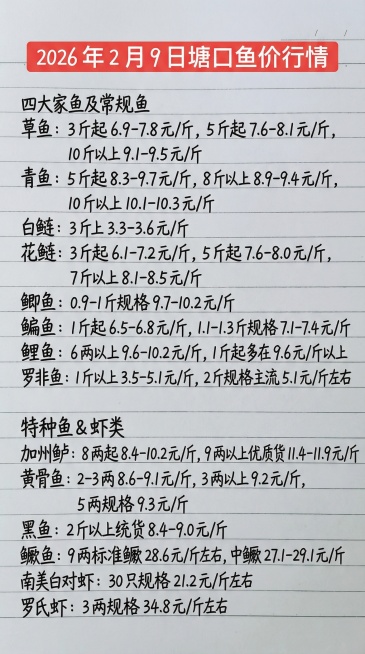 2026 年 2 月 9 日塘口鱼价行情
四大家鱼及常规鱼
草鱼：3 斤起 6.9-7.8 元 / 斤，5 斤起 7.6-8.1 元 / 斤，10 斤以上 9.1-9.5 元 / 斤
青鱼：5 斤起预览效果