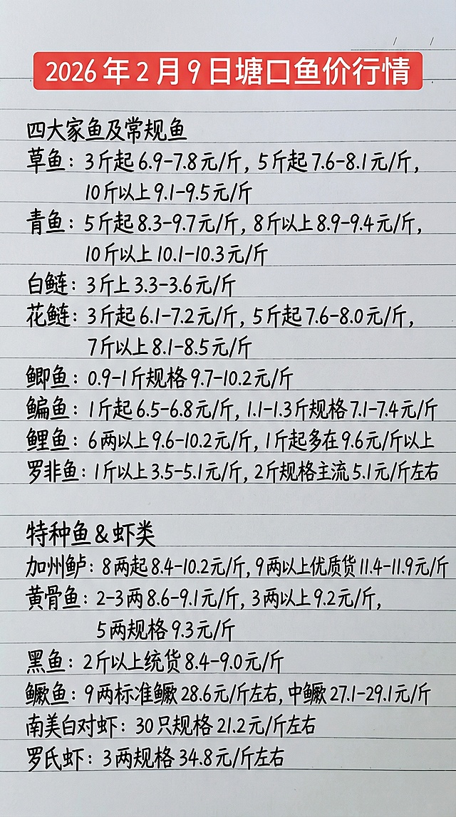 2026 年 2 月 9 日塘口鱼价行情
四大家鱼及常规鱼
草鱼：3 斤起 6.9-7.8 元 / 斤，5 斤起 7.6-8.1 元 / 斤，10 斤以上 9.1-9.5 元 / 斤
青鱼：5 斤起 8.3-9.7 元 / 斤，8 斤以上 8.9-9.4 元 / 斤，10 斤以上 10.1-10.3 元 / 斤
白鲢：3 斤上 3.3-3.6 元 / 斤
花鲢：3 斤起 6.1-7.2 元 / 斤，5 斤起 7.6-8.0 元 / 斤，7 斤以上 8.1-8.5 元 / 斤
鲫鱼：0.9-1 斤规格 9.7-10.2 元 / 斤
鳊鱼：1 斤起 6.5-6.8 元 / 斤，1.1-1.3 斤规格 7.1-7.4 元 / 斤
鲤鱼：6 两以上 9.6-10.2 元 / 斤，1 斤起多在 9.6 元 / 斤以上
罗非鱼：1 斤以上 3.5-5.1 元 / 斤，2 斤规格主流 5.1 元 / 斤左右
特种鱼 & 虾类
加州鲈：8 两起 8.4-10.2 元 / 斤，9 两以上优质货 11.4-11.9 元 / 斤
黄骨鱼：2-3 两 8.6-9.1 元 / 斤，3 两以上 9.2 元 / 斤，5 两规格 9.3 元 / 斤
黑鱼：2 斤以上统货 8.4-9.0 元 / 斤
鳜鱼：9 两标准鳜 28.6 元 / 斤左右，中鳜 27.1-29.1 元 / 斤
南美白对虾：30 只规格 21.2 元 / 斤左右
罗氏虾：3 两规格 34.8 元 / 斤左右
参照图片字体和颜色，用上面内容替换生成新的内容，要求排版布局合理，一字不差。