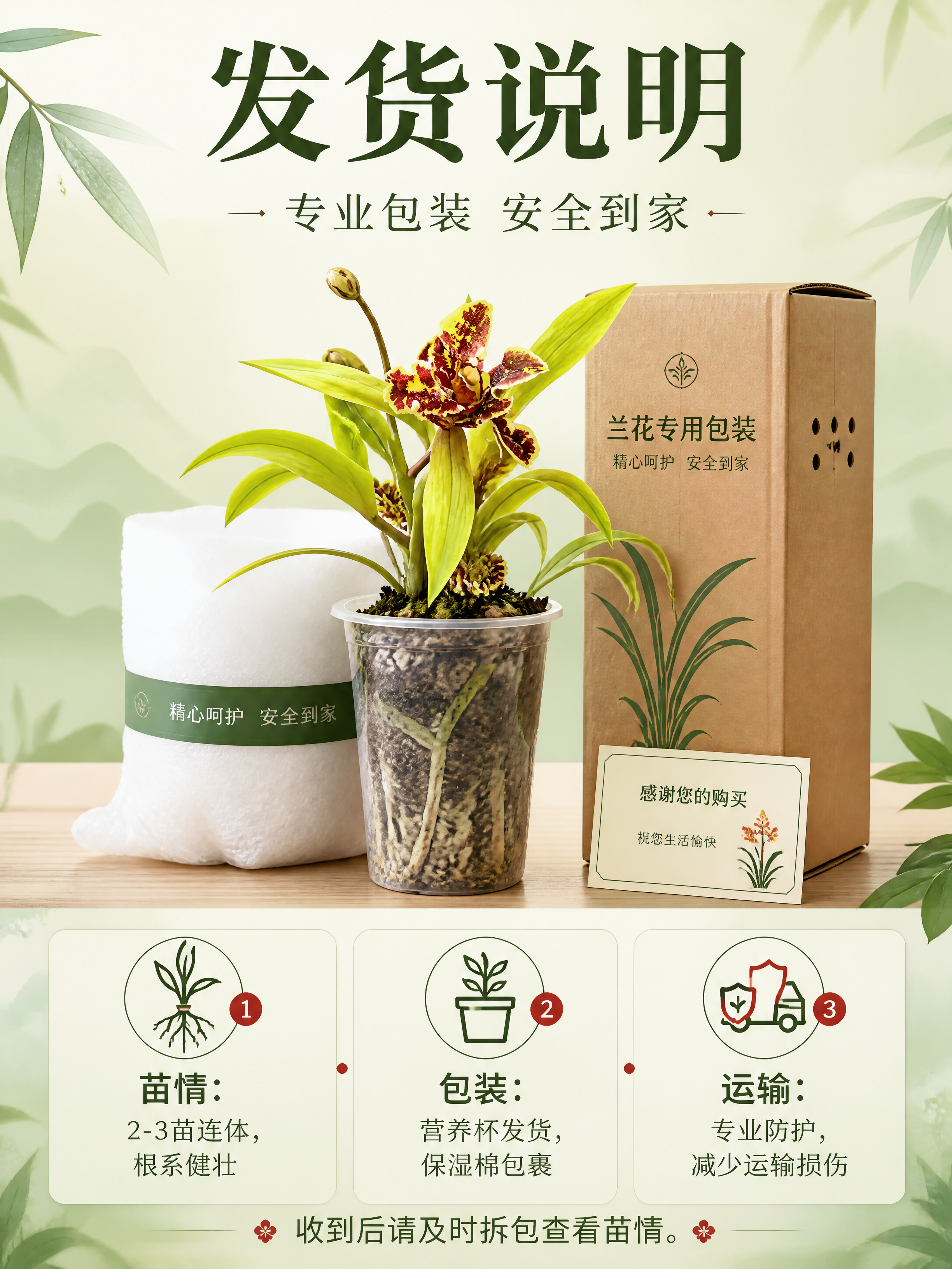 [商品] 使用【图1】大叠彩兰花；保留兰花品种特征和颜色；展示… - 图片创意预览