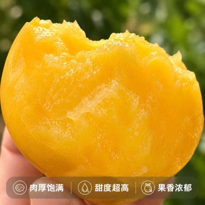 [主图-3] 蒙阴彩虹蟠桃细节特写，展示果肉厚实饱满质感。
[氛围风格] 微距特写，突出诱人食欲；
[画质] 商业摄影质感、光线柔和通透、产品清晰真实、画面干净高级。
[元素] 保持蒙阴彩虹蟠桃果肉纹预览效果