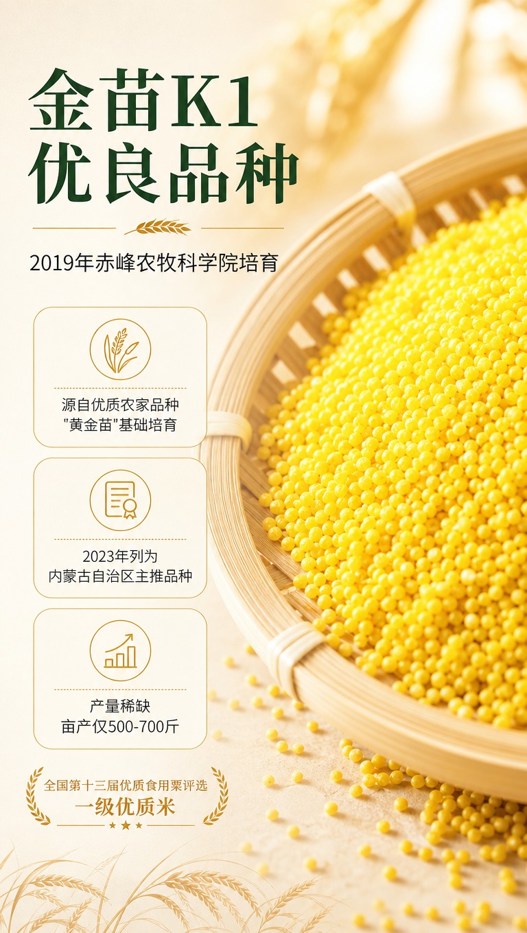 [商品] 使用【图5】K1黄金苗小米颗粒特写图；保留小米金黄色… - 图片创意预览