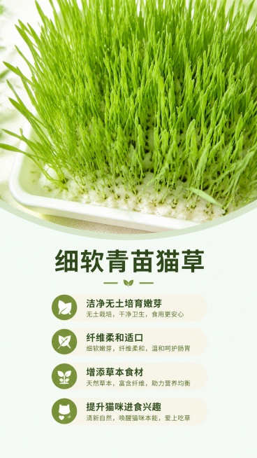 [第3屏] 原料优势展示屏-猫草原料特点介绍。
[氛围/风格] 干净纯净原料展示风，突出猫草新鲜洁净的培育特点，真实自然质感。
[元素布局] 画面上半部分展示无土培育猫草嫩芽的实景特写，猫草放大占屏超预览效果