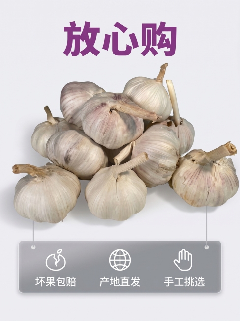 [主图 7] 服务承诺转化主图，打消用户下单顾虑；氛围风格简洁直白，性价比突出；画质清晰干净，信息直观；元素一堆完整紫皮大蒜放在画面中心偏上位置，保持产品外观与输入实物图一致，产品下方预留服务信息区域预览效果