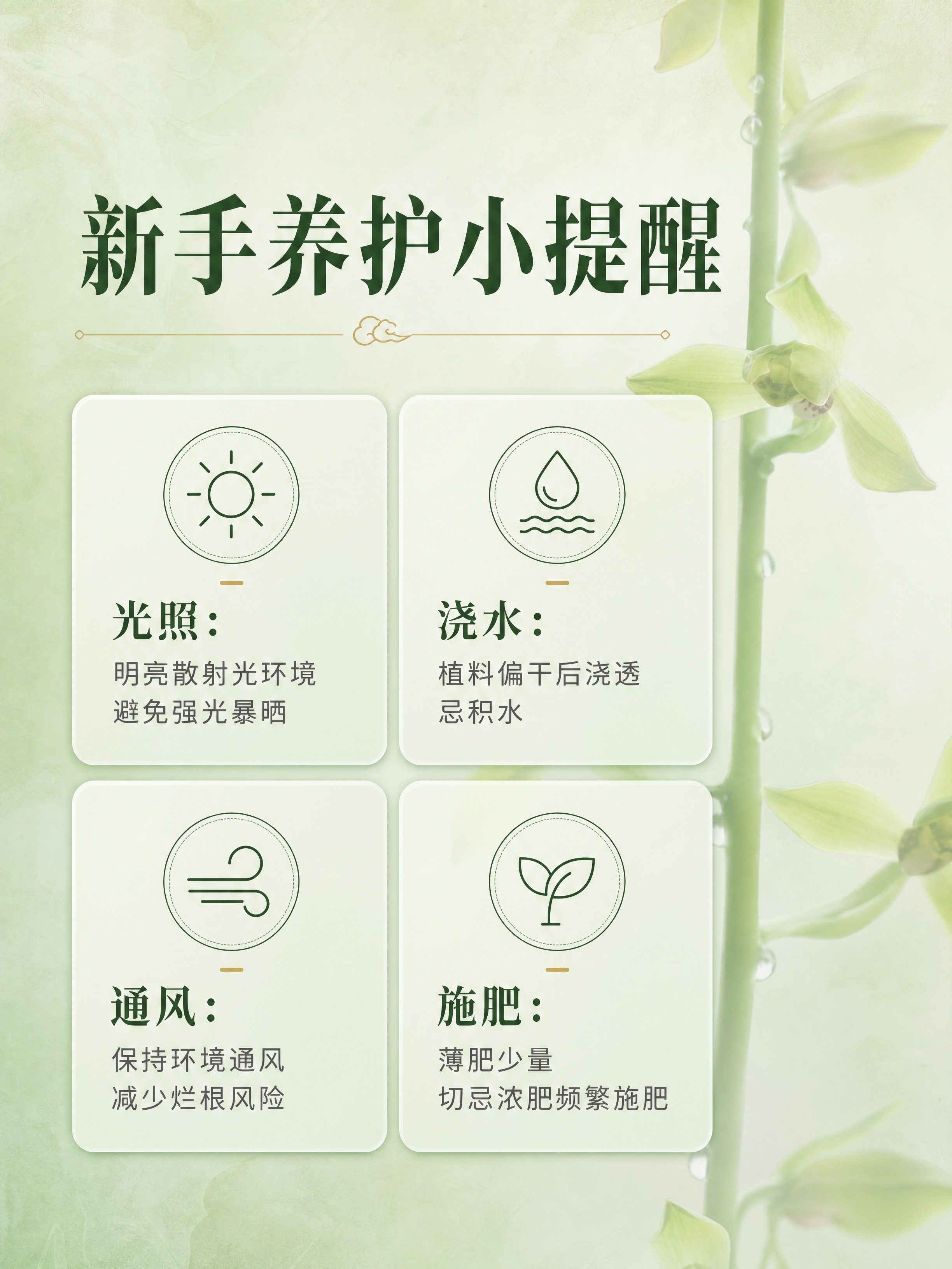 [商品] 使用【图3】翠丰兰花局部图；保留花朵形态、翠绿色花瓣… - 图片创意预览