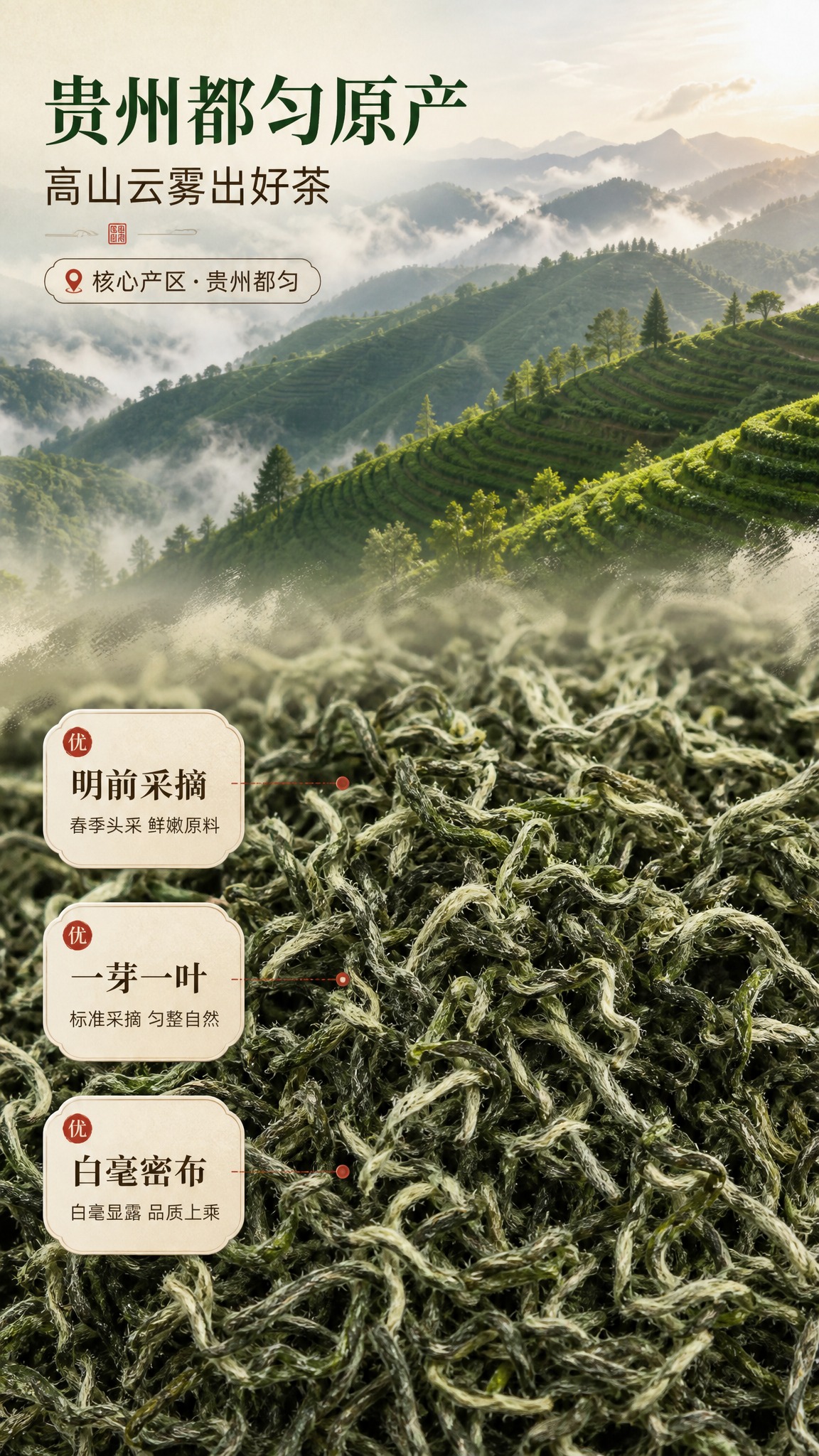 [商品] 使用【图2】【图3】都匀毛尖干茶茶样；保留干茶真实的… - 图片创意预览