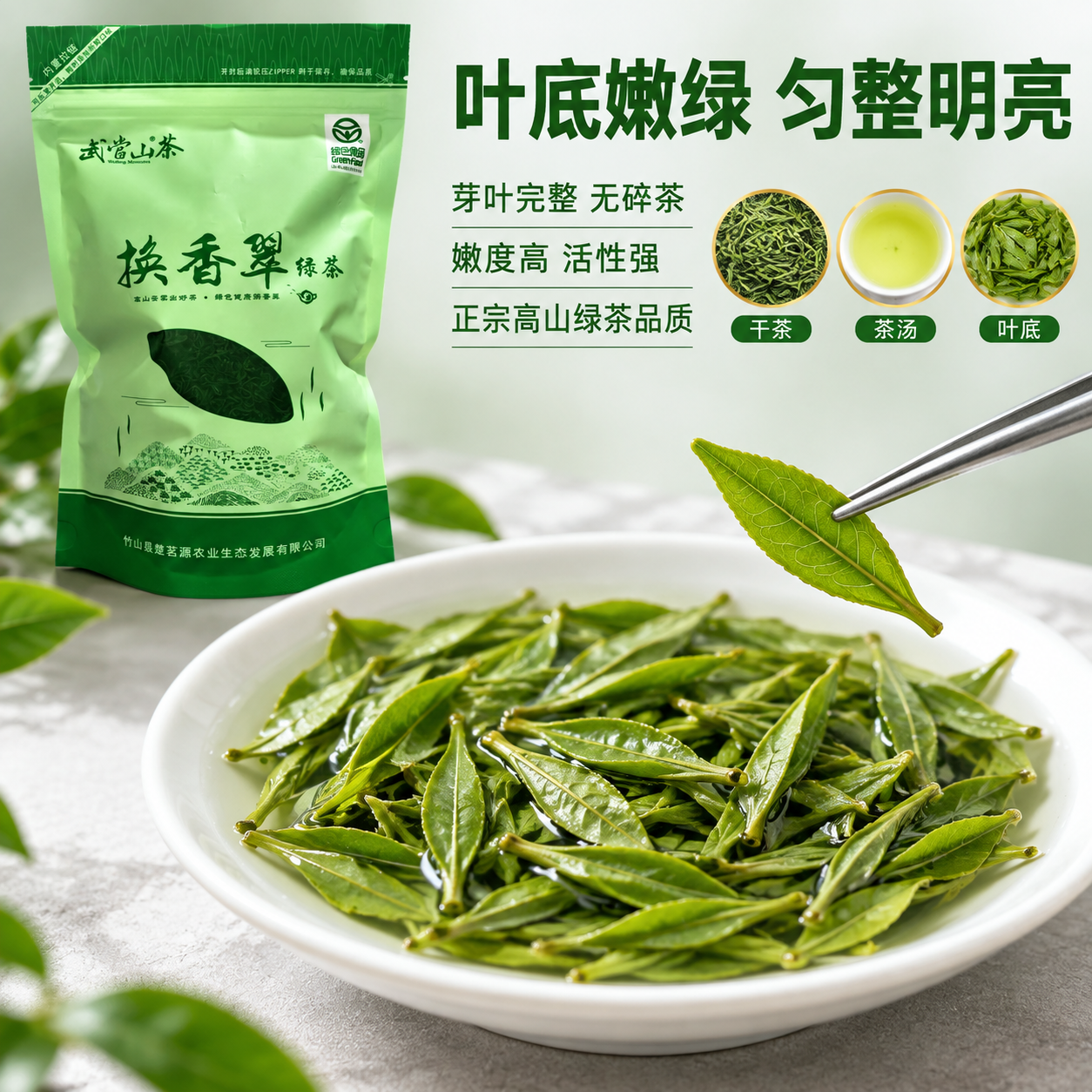 [主图-5] 叶底展示 嫩绿匀整 品质佐证。 [统一基调] 拼… - 图片创意预览