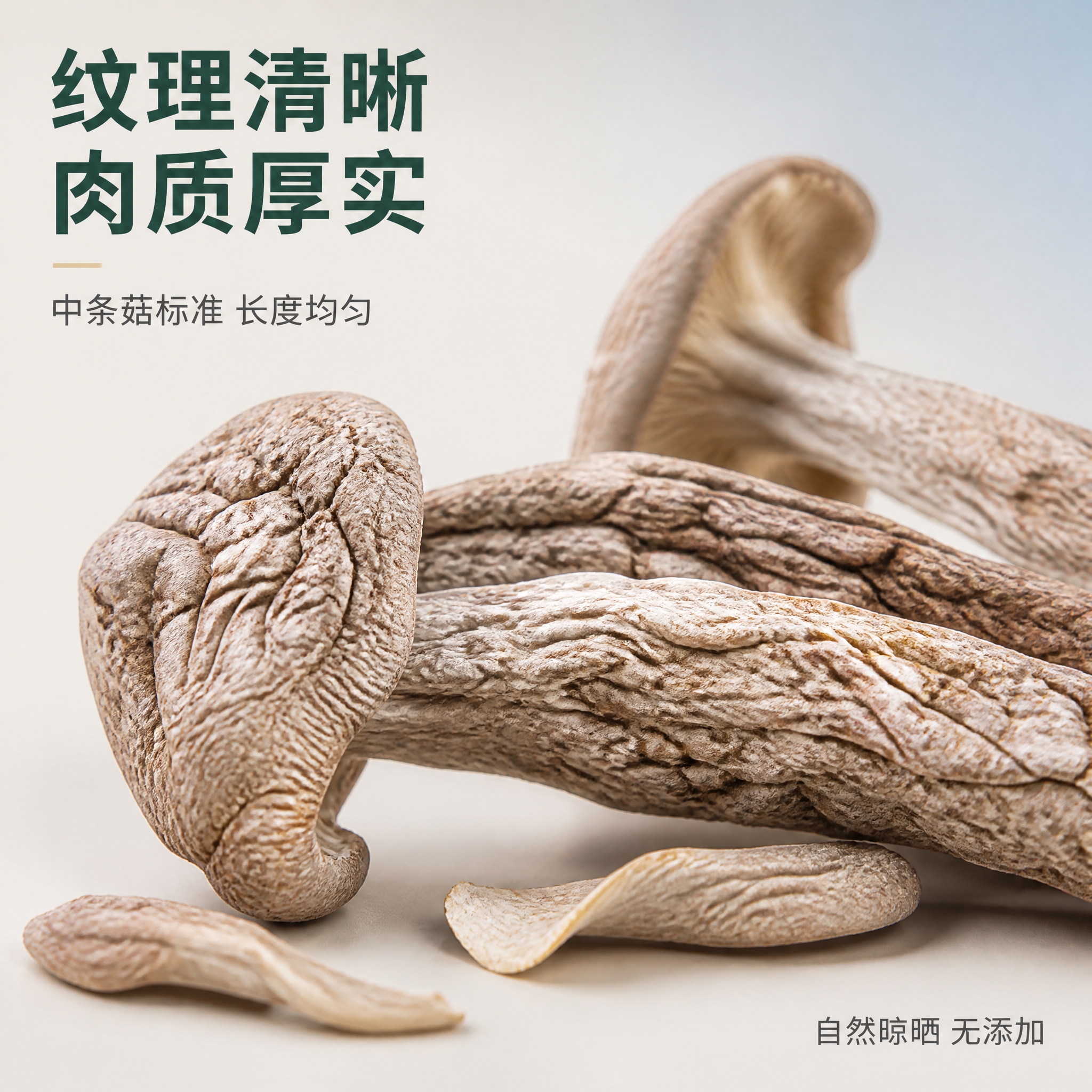 [主图-3] 细节微距图，近距离展示鹿茸菇中条菇的纹理质感与干… - 图片创意预览