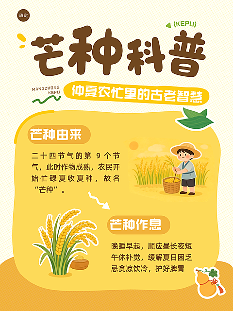 芒种节气养生科普分享可爱手绘风小红书配图
