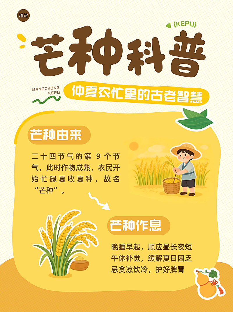 芒种节气养生科普分享可爱手绘风小红书配图
