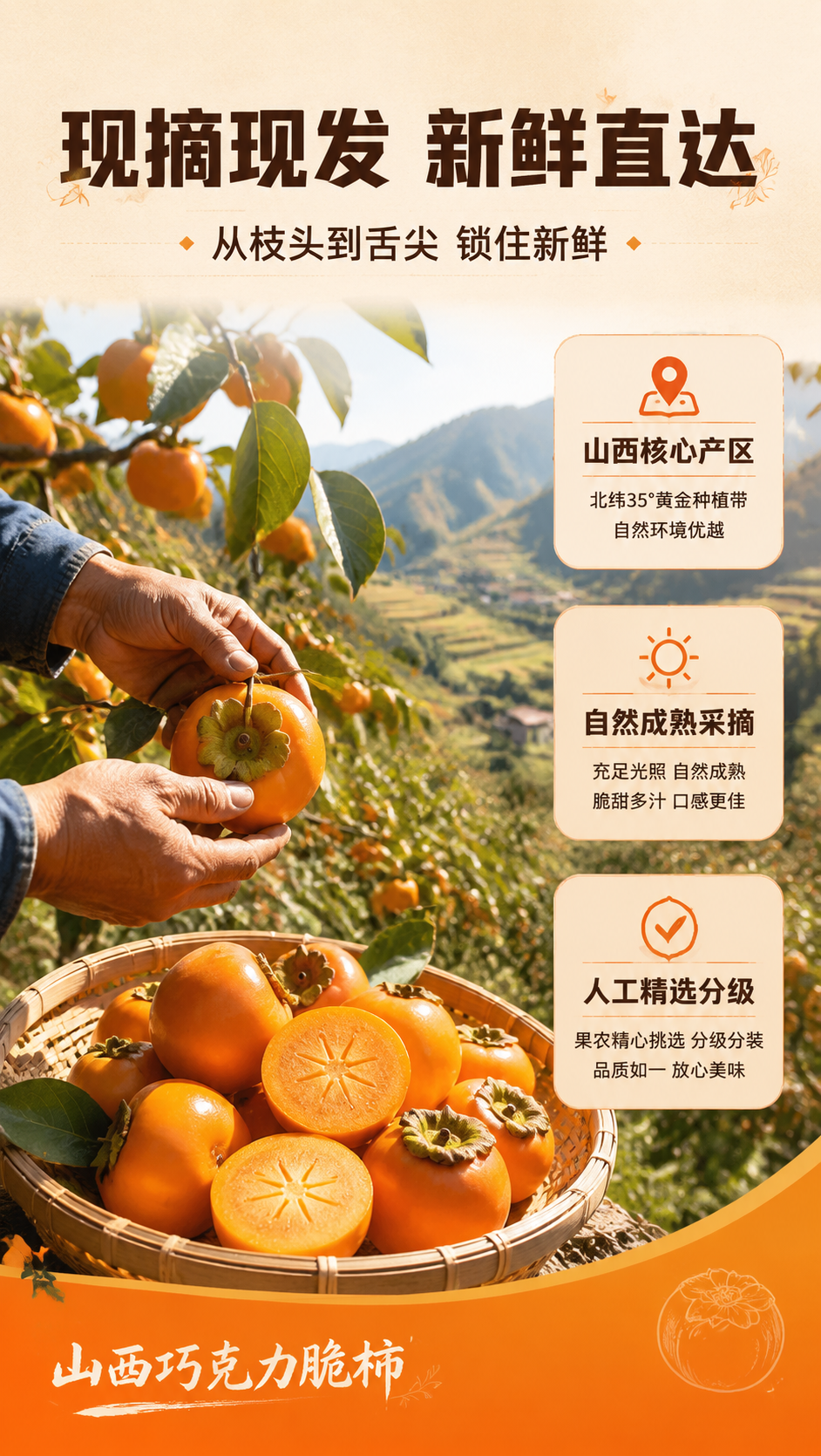 [商品] 使用【图1】山西巧克力脆柿作为采摘篮中果实参考；保留… - 图片创意预览