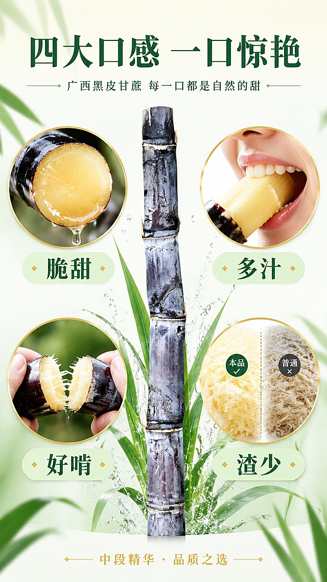 [第2屏] 核心卖点屏-广西黑皮甘蔗四大口感卖点。本屏使用【图1】作为商品主体，甘蔗外观与输入图一致。
[氛围/风格] 现代简约+食欲感，生鲜食品卖点展示，清新高级风。
[元素布局] 画面中央一根完整黑皮甘蔗竖向贯穿，占比约35%；甘蔗左右两侧各两个大圆形卖点图标，呈对称分布：左上圆形内为甘蔗切面爆汁特写，右上圆形内为牙齿轻咬甘蔗的示意，左下圆形内为手掰甘蔗清脆断裂，右下圆形内为细腻少渣的甘蔗渣对比；每个圆形图标有细金边装饰；甘蔗周围有绿叶和飞溅的小水珠点缀；甘蔗主体保持紫黑皮色、节段结构与输入图一致。
[光影质感] 顶部柔光均匀照射，圆形图标内有独立聚光突出质感，甘蔗表皮有细腻高光，整体明亮干净，高级感强。
[配色色系] 全局底色 #FBFDF7（极浅奶白绿）；主色墨绿标题 #1B4332；辅助色浅绿圆底 #D8F3DC、金边 #C9A227、白字；字色墨绿+白色。
[视角构图] 正面平视，中央甘蔗竖轴+左右四圆对称，阅读动线顶部标题 → 中央甘蔗+四圆卖点 → 底部总结。
[文字版式] 顶部居中大标题「四大口感 一口惊艳」，大气宋体；副标题「广西黑皮甘蔗 每一口都是自然的甜」，纤细黑体；四个圆形图标下方分别配大字：「脆甜」「多汁」「好啃」「渣少」，墨绿粗体；底部金色细横条写「中段精华 · 品质之选」。
[比例分辨率] 9:16 竖版比例，4K分辨率，文字清晰可辨，高清画质。
[负向提示词] 甘蔗变形，颜色偏差，水印，文字错乱，卖点图标模糊，背景杂乱，结构错误，圆形变形。