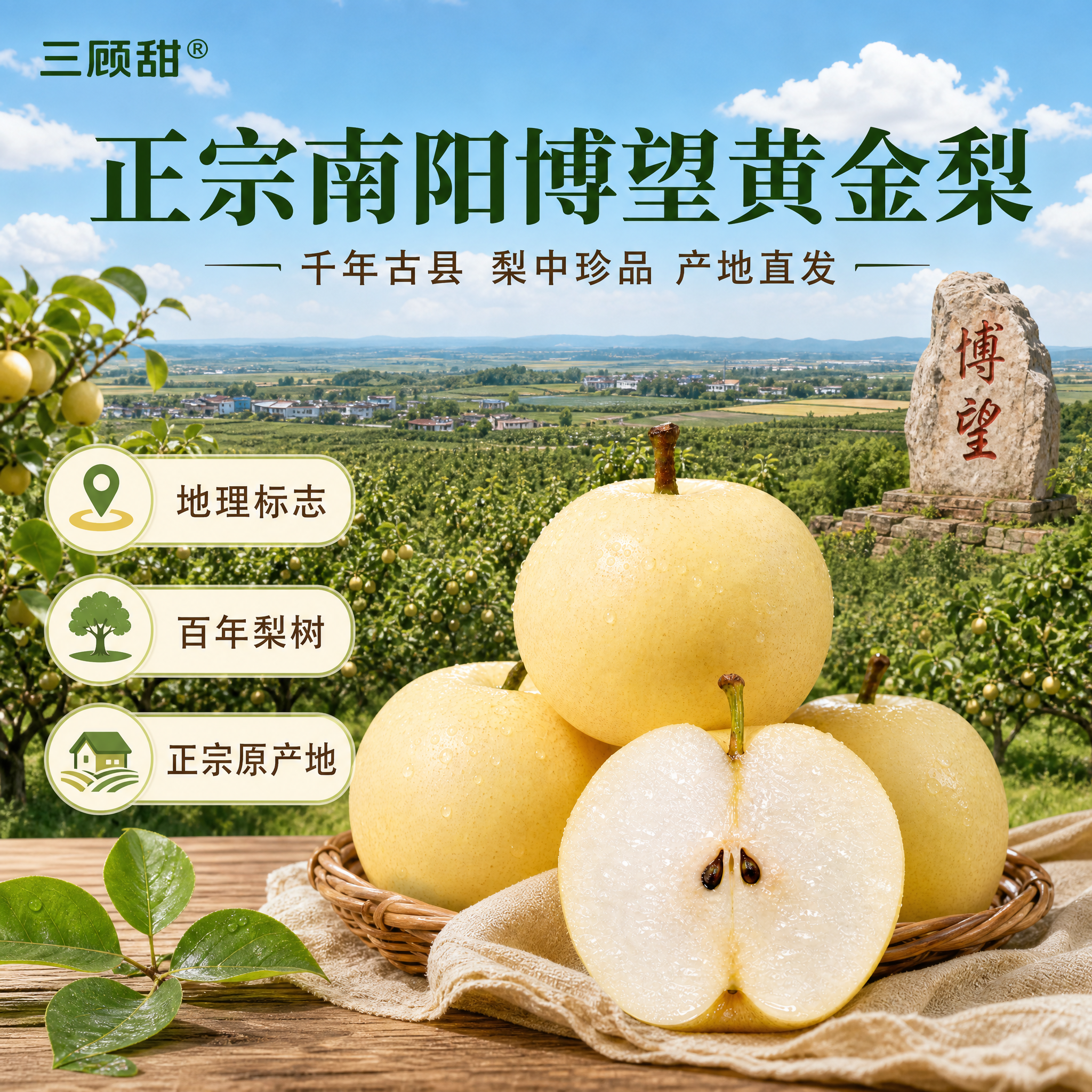 抖音巨量千川生鲜水果推广海报，写实商业摄影风格，产地溯源感。创… - 图片创意预览