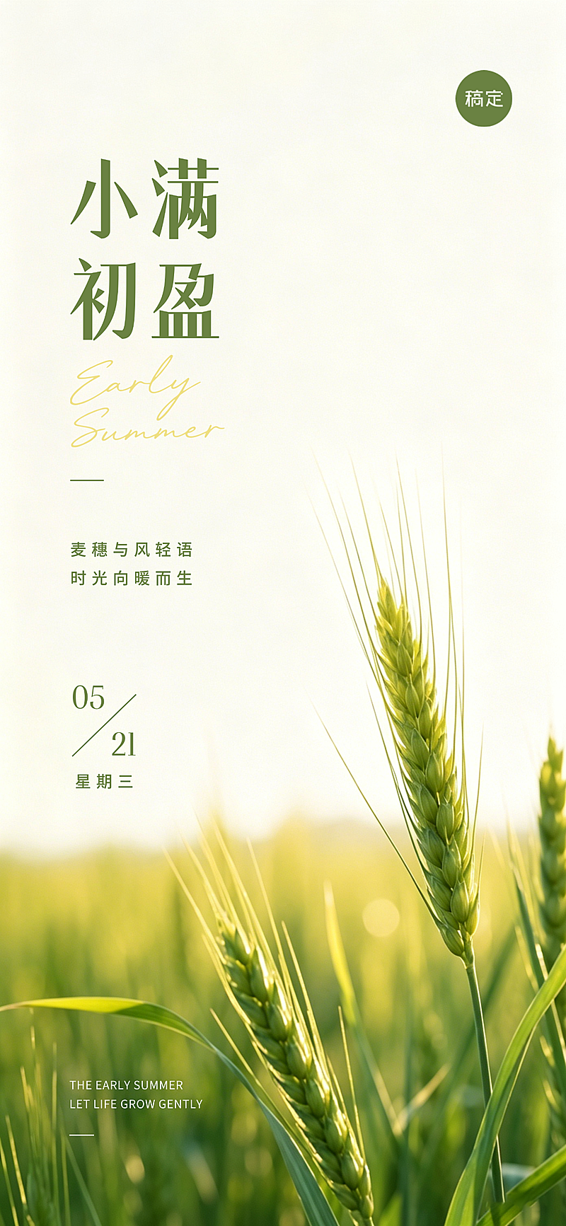 小满节气祝福清新感水稻全屏竖版海报