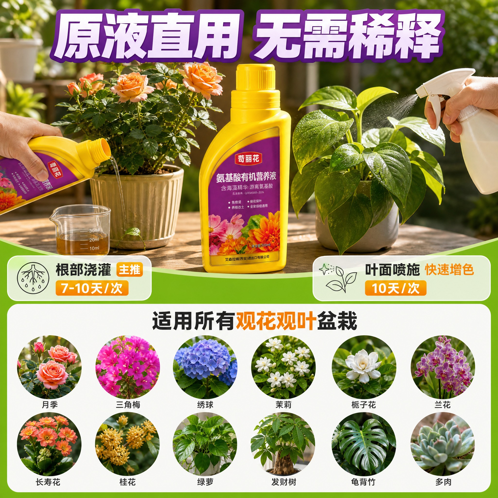 [主图-4] 使用方式与适用场景，展示根部浇灌和叶面喷施两种使… - 图片创意预览
